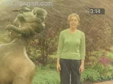 Cutting Edge: The Time of Your Life