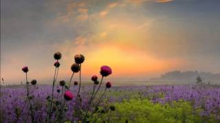 THIS IS MY SONG -  PETULA CLARK