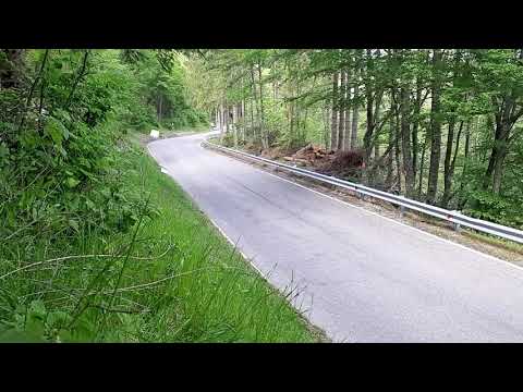 VERZEGNIS 2019 TERRIFIC PASSAGE OF KARL SCHAGERL😱