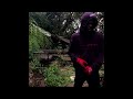 lucki - do you want (sped up)