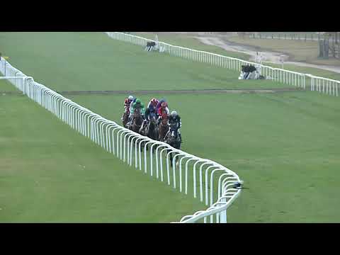 2019.11.03. 08. futam - LOVAREGYLETI DÍJ (HUN Gd-2)