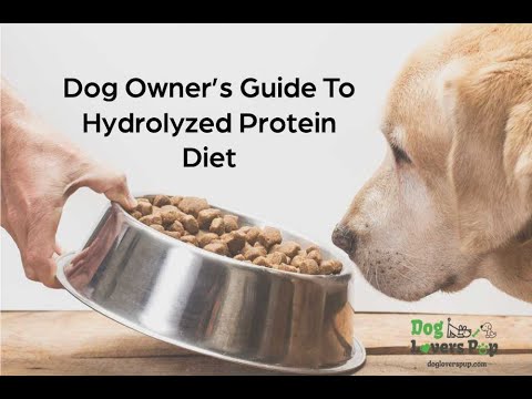 Guide to Hydrolyzed Protein Dog Food: Is It Safe, Does It Works & What're The Benefits?