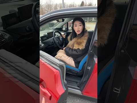 Japan’s Car System Shocked Her on Day One