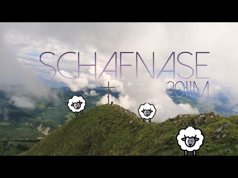 Schafnase 2011m | Short T4 Hike from Glaubenbielenpass | Giswilerstock Massif | Obwalden