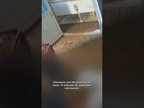 Ofrecen recompensa de 10 millones por responsable de maltrato a menor en Sibaté | CityTv
