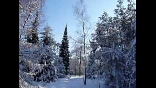 preview picture of video 'Winterwandeling in Lunteren'