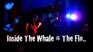 Inside The Whale @ The Flood 13/08/11