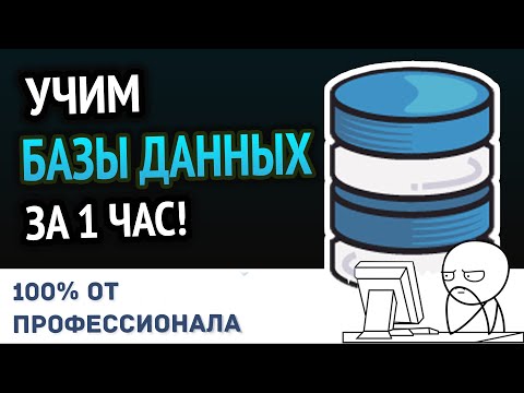 Учим Базы Данных за 1 час! #От Профессионала