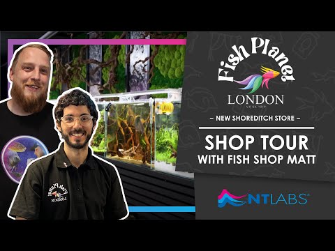 NT Labs Fishkeeping and Fish Shop Matt
