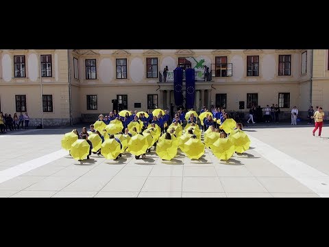 "We are Europe" Flashmob - HLW Sozialmanagement Graz feiert den Europatag