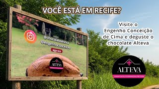 Engenho Conceição de Cima e Chocolate Alteva - Vídeo Institucional - Vídeo para recepção