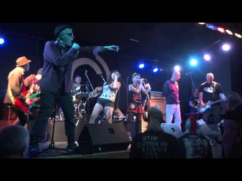 STEVE IGNORANT PARANOID VISIONS 3