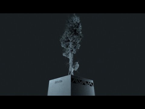 Video thumbnail for SEQUOIA