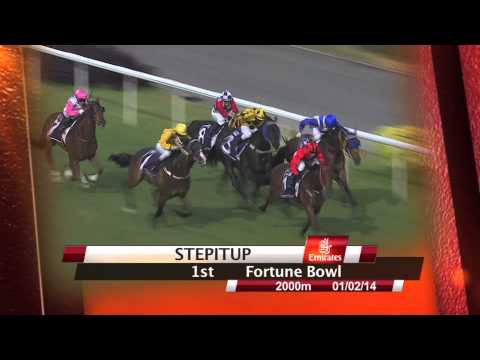 Emirates Singapore Derby 2014 Contenders (Stepitup)