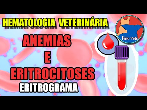Interpretation of the hemogram | Erythrogram (Part 1) - Veterinary Medicine