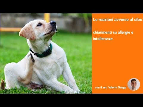 Affronti il pacco che include lamido Ginnastica video per stringimento e ringiovanimento di faccia