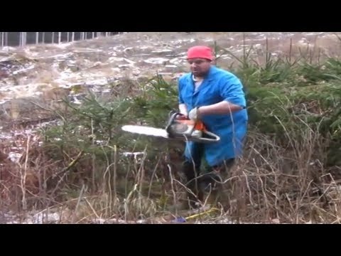 Petutschnig Hons und der perfekte Christbaum