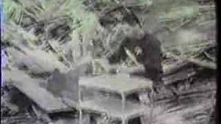 Alice Donut &quot;Lydia&#39;s Black Lung&quot; ‌‌ - Bohemia Afterdark