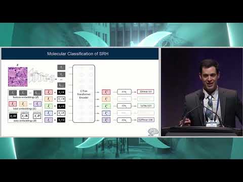 MLiNS video - watch on YouTube