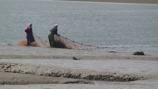 preview picture of video 'Coombe Cellars. Devon.UK.21-5-12.'