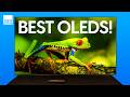 Best OLED TVs To Buy In Early 2026 Budget Friendly To High End