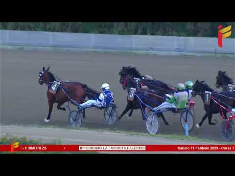 VII corsa del 11 febbraio 2023 - 4 Anni - Metri 1600 - Gara centrale