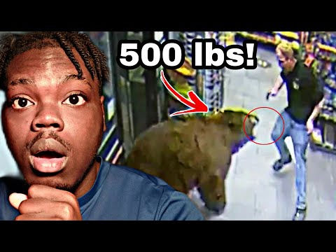 500-POUND Bear REPEATEDLY Steals Candy from Gas Station | Customer Wars | A&E INSANE!