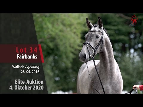 Elite-Auktion 4. Oktober 2020 Lot 34 Fairbanks Wallach v.Franziskus - Casper