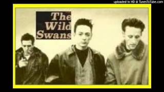 The Wild Swans - Bluebell Woods - 720 HDp
