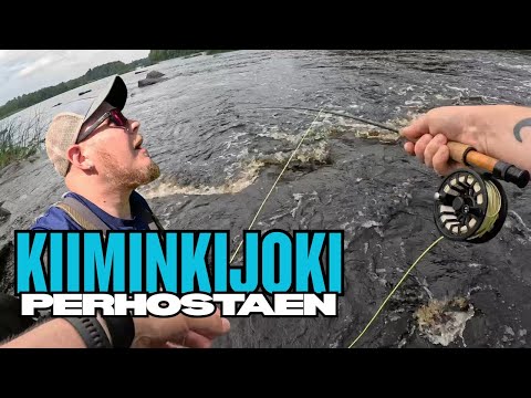 KIIMINKIJOELLA PERHON HEITTELYÄ | LÖYTYYKÖ TÄÄLTÄ MITÄÄN?