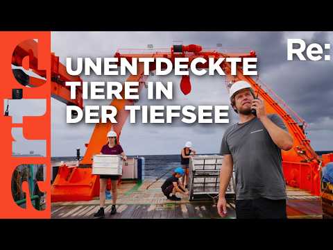 Ein Team, eine Mission, fünf Wochen im Atlantik | ARTE Re: