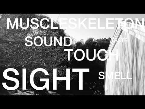 Architecture of the Seven Senses