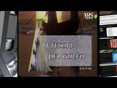 GEO, viaggio nel pianeta Terra - I TESORI DEL GOLFO