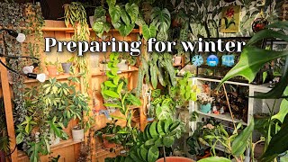 I'm leaving again 😭 Preparing my plants for winter without me 🤞