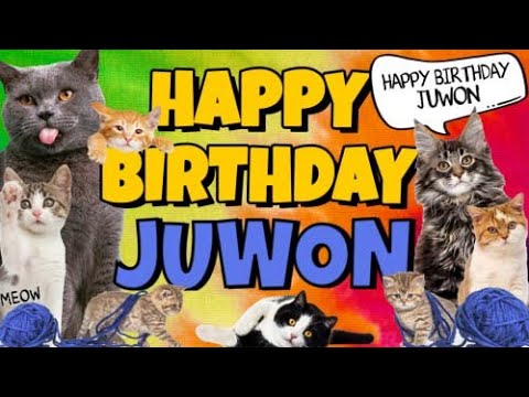 Happy Birthday Juwon! Crazy Cats Say Happy Birthday Juwon (Very Funny)