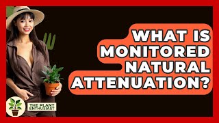 What Is Monitored Natural Attenuation? - The Plant Enthusiast