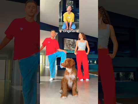 Puppy Dance Class! 😱🐶 BEHIND THE SCENES! 🎥🤣 #puppy #dance #viral