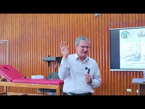 Elbow Joints  Therapeutic Exercises SCU 2025