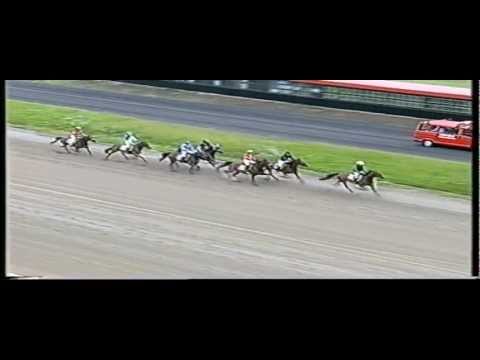 Trabreiten_Chut Meadow_Antje Richter_Preis von Drochtersen 2007