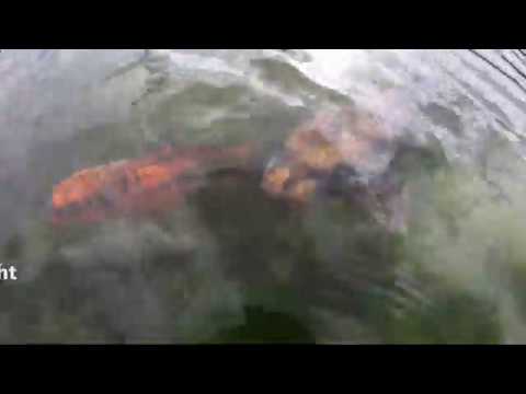 Delph 26 09 19 Rope Search Practice