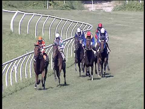 Galoppo 18/06/2019 - 2ª corsa