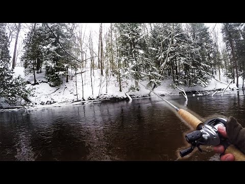 Late Winter Steelhead Action - My Favorite Time to Fish!