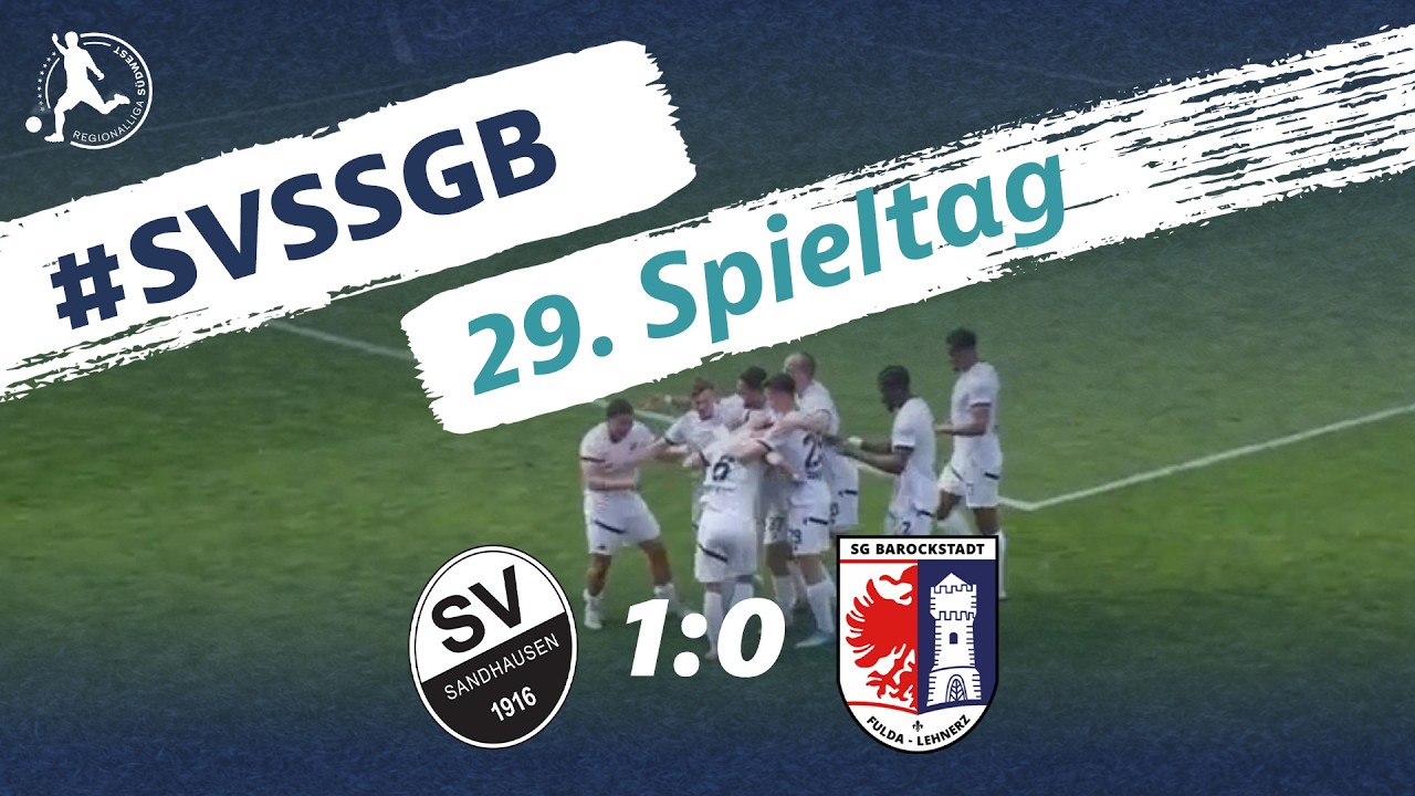 SV Sandhausen vs SG Barockstadt Fulda Lehnerz Highlights