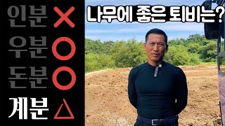 나무농사에 가장 좋은 퇴비는? 우분, 돈분, 계분, 인분? [조경수 재테크 비료, 거름]