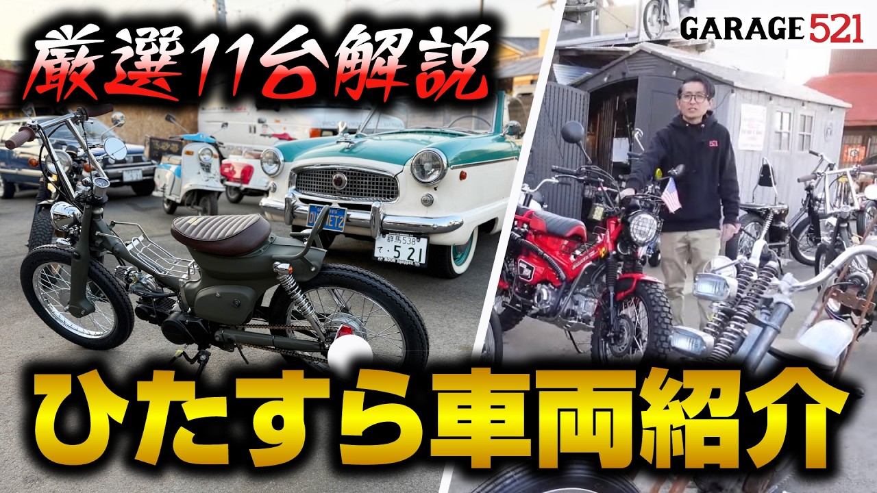 【大量】ひたすら車両紹介していく！