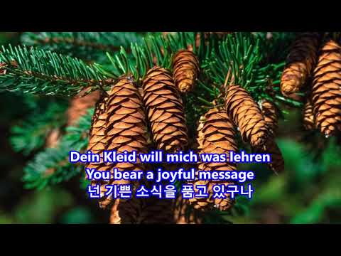 O Tannenbaum(O Christmas Tree) - Vienna Boys Choir: with Lyrics(German/Englsih/가사번역)