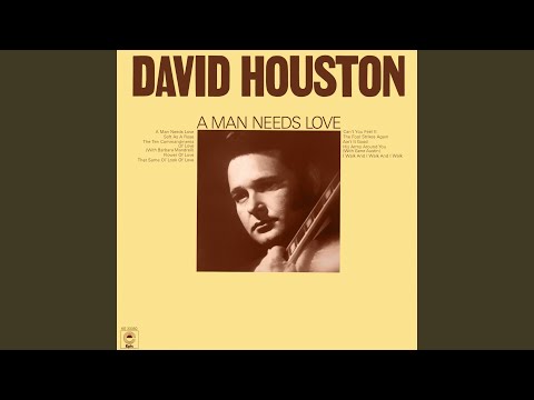 A Man Needs Love - David Houston