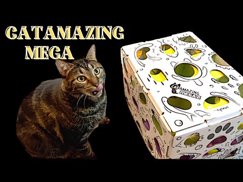 Unleash the hunter CATAMAZING MEGA puzzle box cat toy