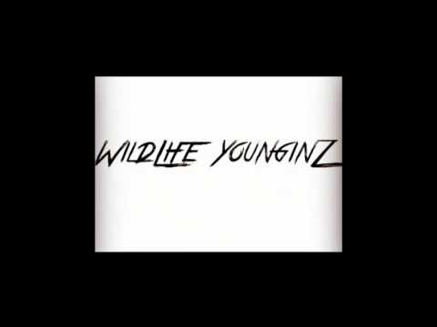 No Social Media - WLG ( King Eazy x OG x DoapMane x T Woodz )