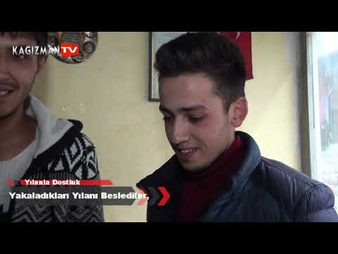 Yakaladıkları Yılanı Evde Beslediler,